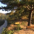 각골농장 네이버블로그