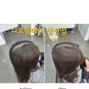 디오룸 이미지