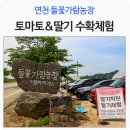 이민숙농장 이미지