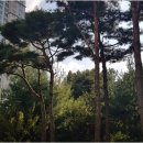 갤럭시부동산중개 이미지