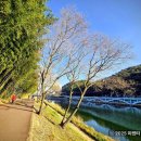 KM산업 | 울산 태화강전망대 후기 회전카페와 십리대숲 산책 코스