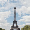 나우로데오 이미지