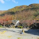 사천공단공인중개사사무소 | 경남밀양시단장면범도리다가구경매/ 2회유찰49% 범도마을회관인근 2025타경10308