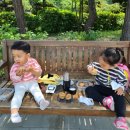 서호꽃뫼(2) 이미지
