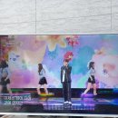 박서진 가수 이미지