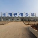 연세원예조경 이미지