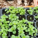 예나농장 이미지