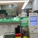 최부자 - 제주시 승천로 17 | [김포 풍무 맛집] 속이 꽉 찬 프리미엄 김밥, 최부자김밥 포장 후기 (참치/돈까스/기본)