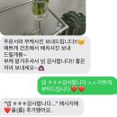부케 말리기 선물 업체 추천 :: 다양한 오브제가 있는 연우공방