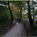 생초할인마트 이미지