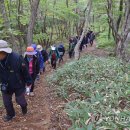 제주삼다수화성