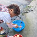 갈평농장 이미지