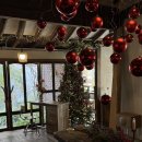 하나비 | 대구 중구 동인동 크리스마스 분위기 낭낭한 카페 하나비 후기