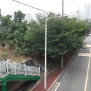 광양참숯불구이 이미지