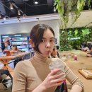 [경복궁 라이트쇼 직관 후기] [밴쿠버 모델이 한국에 온 이유]