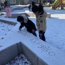 예뻐뽀어린이집 이미지