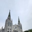 지세븐의원 이미지