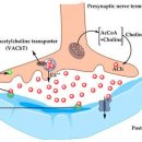 알츠하이머 치매 치료법을 위한 comprehensive review 논문... molecules 이미지