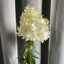 둥지조산원 이미지