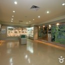 강원대학교 중앙박물관 이미지