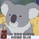 GOGO GYM 네이버블로그