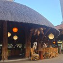 밤부(BAMBOO) 이미지