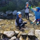 영심이네민박 이미지