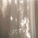 여성아이병원 이미지