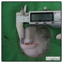 미드미 동물의료센터 이미지