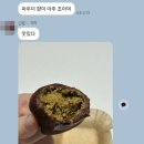하니 | 대전 둔산동 두쫀쿠 ㅣ 바이러브하니 두쫀쿠 후기 (+쿠팡 잇츠 배달)