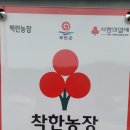 장신농장 이미지