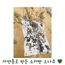 🌳화장산 숲체험 다녀왔어요🌳 이미지