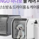 오투산소방 이미지