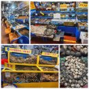 강서수산시장 방문 후기 🦀 신선한 해산물 &amp; 꼭 먹어봐야 할 리스트!