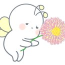 엄다초등학교 이미지