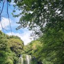 천제연폭포 이미지