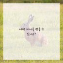 유성정형외과의원 이미지