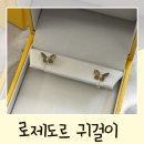 나비선물 | 화이트데이 여자친구 선물 추천 나비 다이아 귀걸이 로제도르 스윗보너 후기