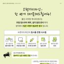 오랜지디자인