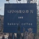 카페오후 | 내돈내산 가평 반려동물 동반 베이커리 대형카페 '나무아래오후N'후기
