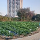 송산초등학교 이미지