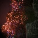 링컨부동산공인중개사사무소 이미지