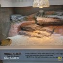 플레이하우스 | 📌 부산 명지 아쿠아플레이하우스 후기 키즈카페 놀이시설 + 방갈로 + 식사 솔직 리뷰