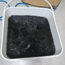 🏠 중랑구 면목동 벽걸이 에어컨 청소 후기│ 이사 후 셀프로 하려다 포기하고 홈케어153에 맡긴 솔직 후기