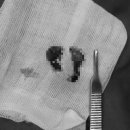 24시 에피소드 동물 메디컬 센터 이미지