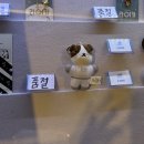 있는 그대로 반짝일거야