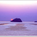 해뜨는아침 이미지