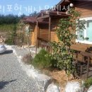 태안 만리포펜션 만리포헛개나무펜션 추천 영업시간 가는길