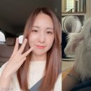 희야 이미지