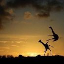 관악로14길 이미지